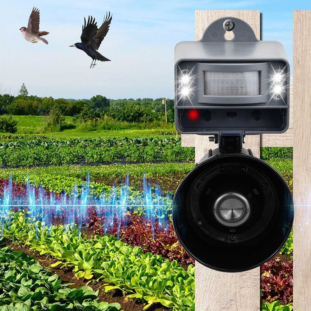 AHUYENTADOR SONORO DE PÁJAROS CON FLASH gallery 2