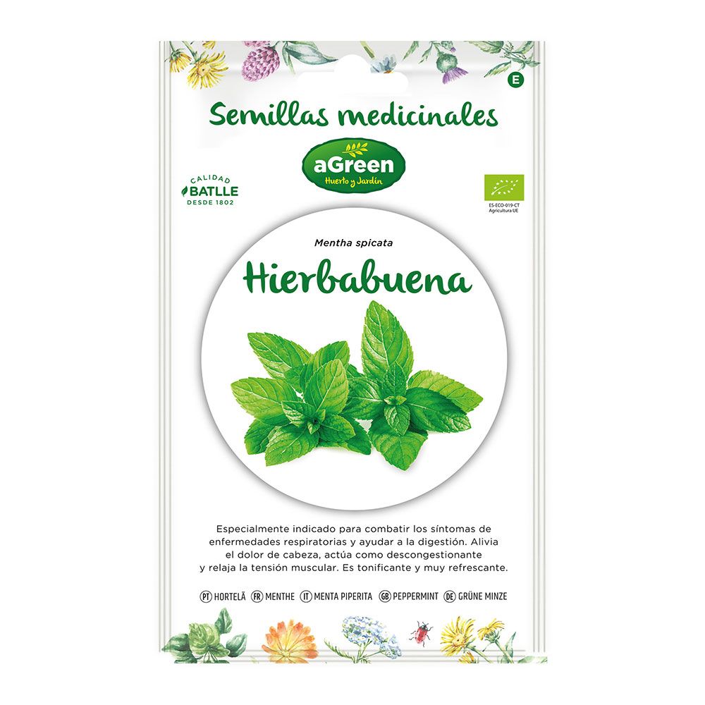 SOBRE CON SEMILLAS DE HIERBABUENA "MEDICINAL" ECO 857005BOLSH AGREEN