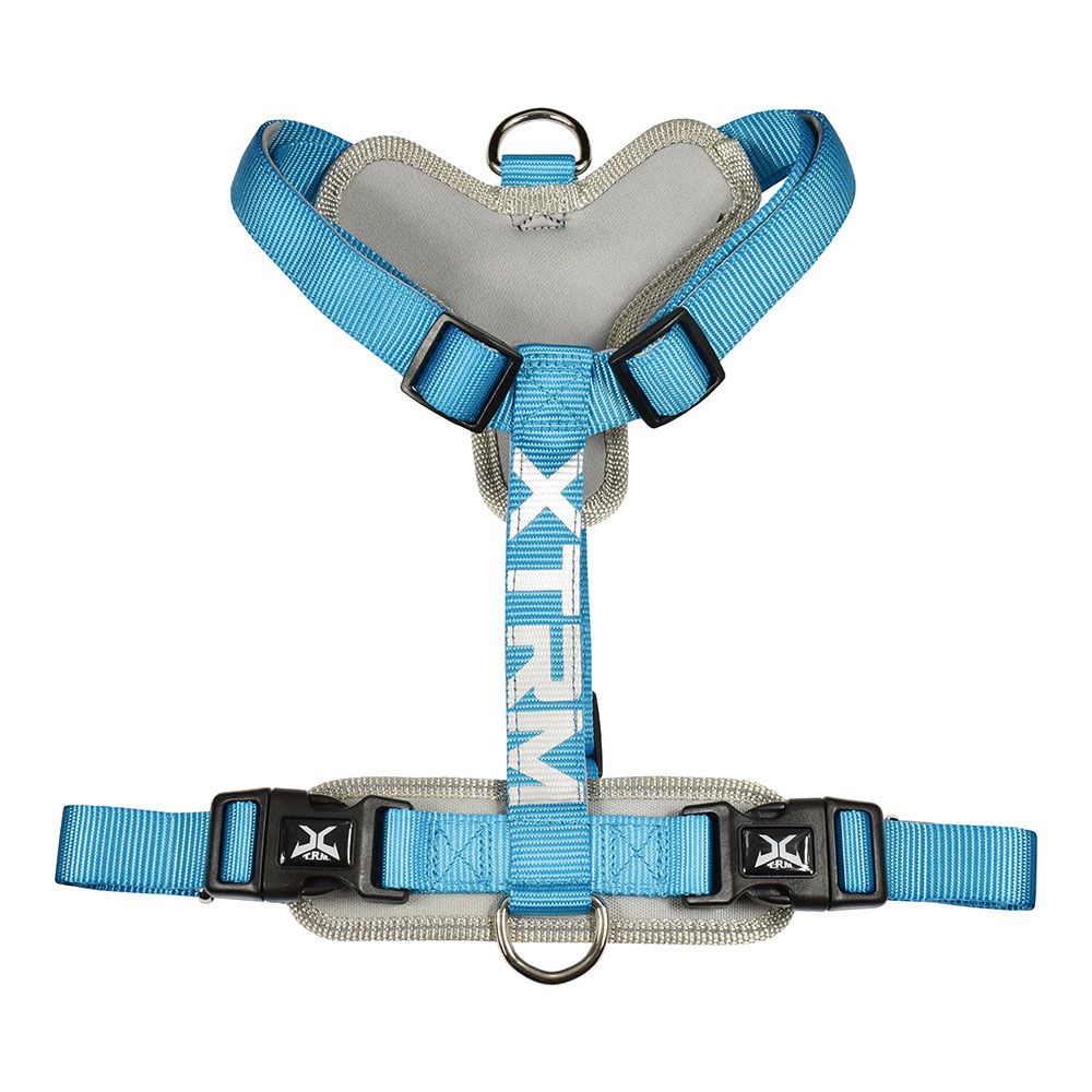 ARNÉS X-TRM CRONOS NEON FLASH AZUL, T-M 20 mm x 46-75 cm