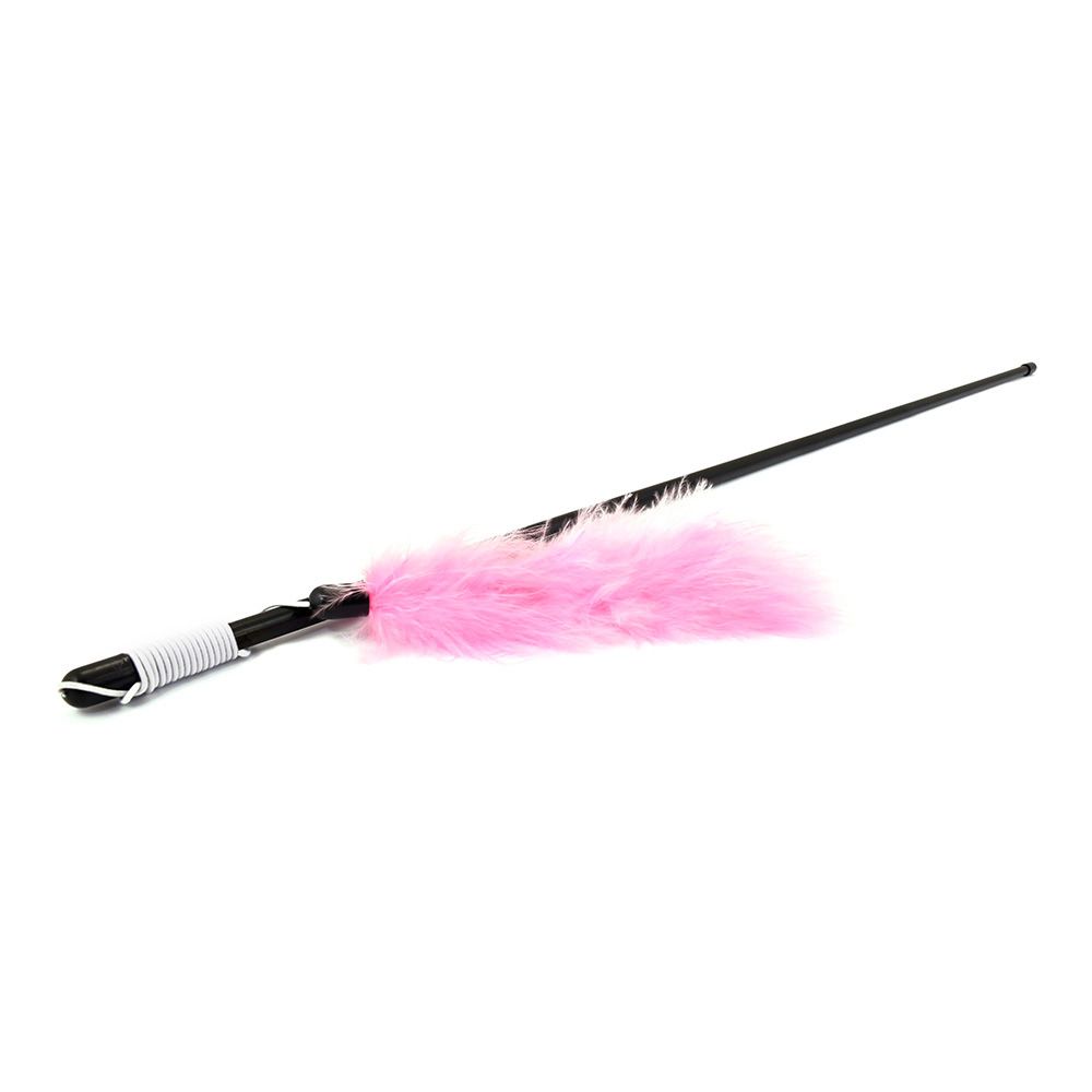 JUGUETE PARA GATOS VARA CON PLUMA DE COLORES COLORES SURTIDOS 48 cm gallery 0