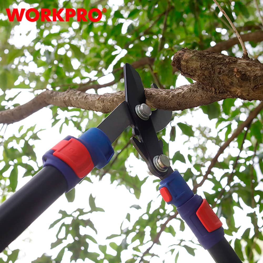 TIJERAS PODA DOS MANOS BYPASS, EXTENSIBLE, AHORRO ESFUERZO, CAPACIDAD MÁXIMA CORTE Ø44 mm, 62,5-92,5 cm gallery 1