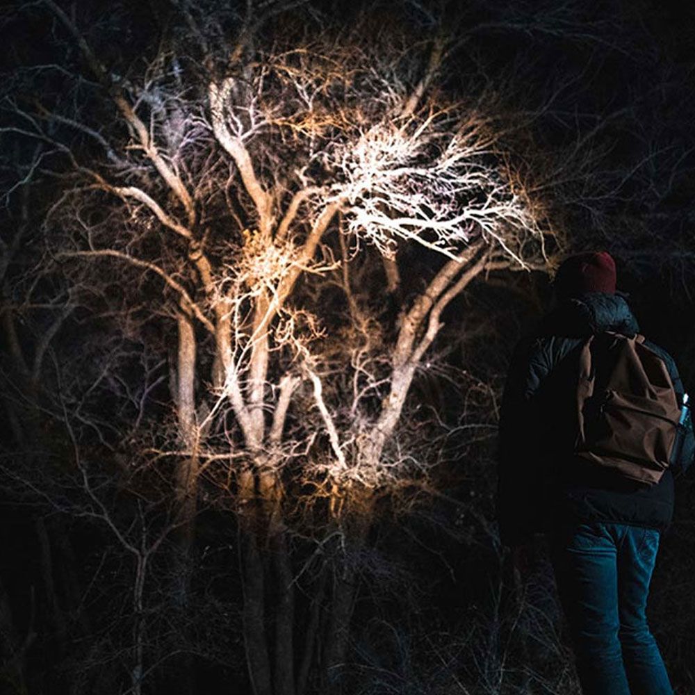 LINTERNA DAVINCI 1000. RECARGABLE gallery 4