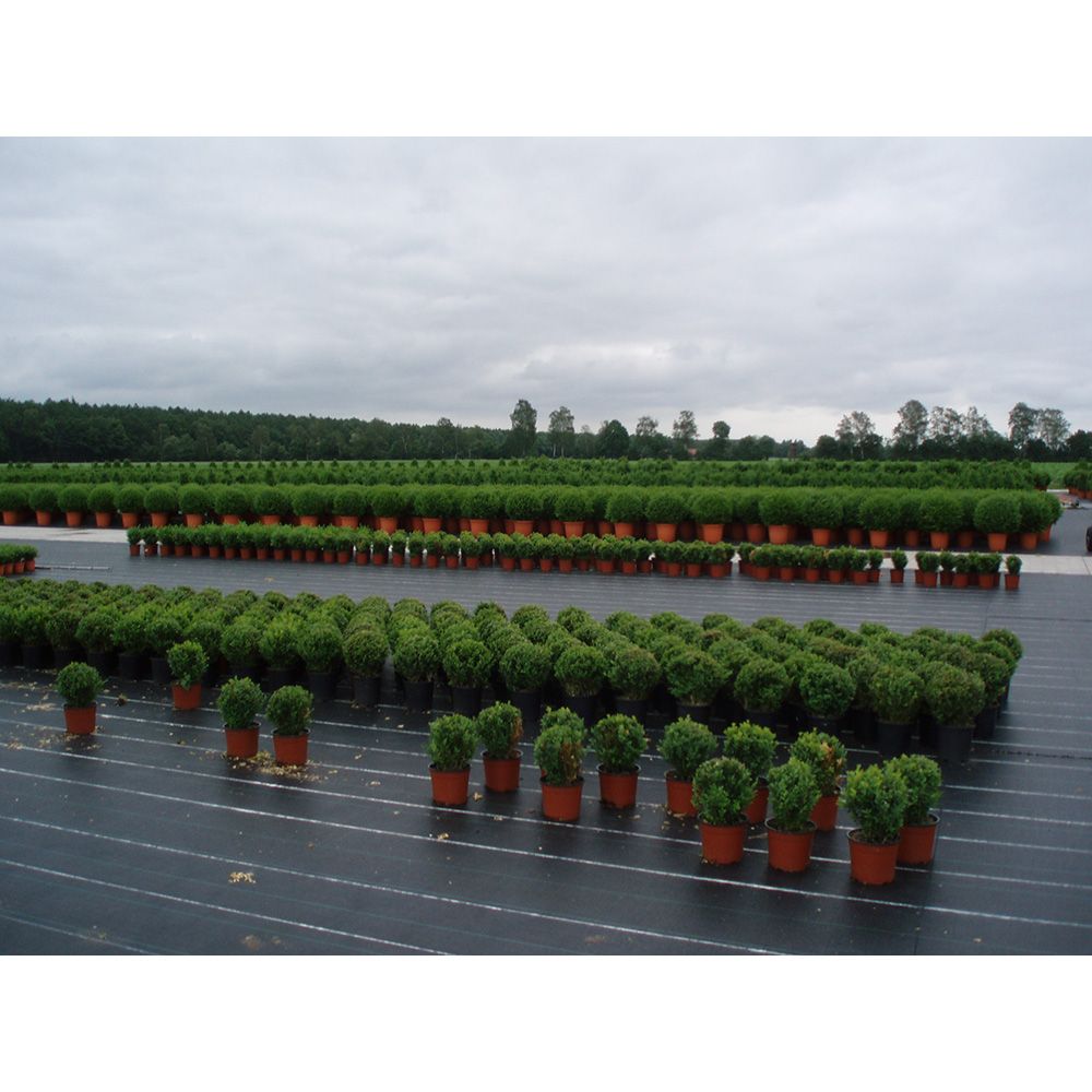 MALLA ANTIHIERBA 100 g/m² VERDE 1 x 10 m gallery 0