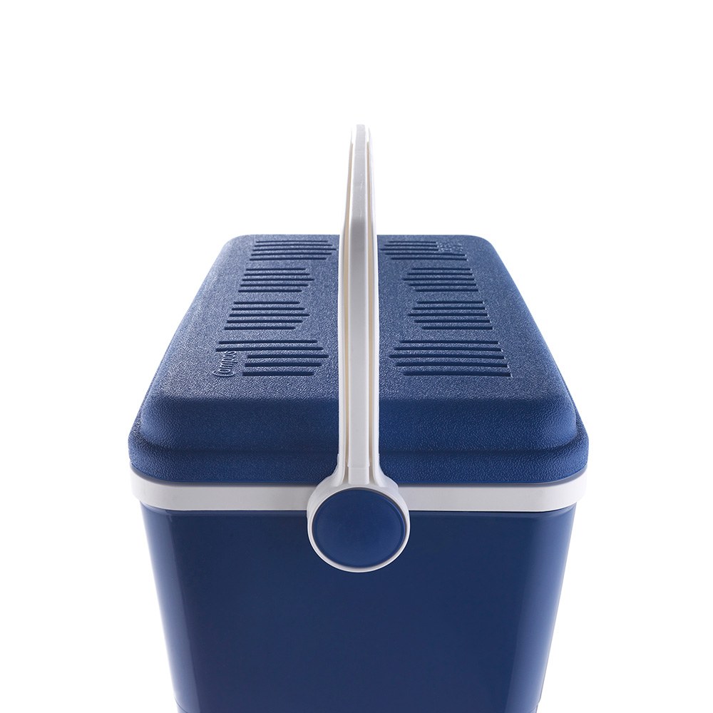 NEVERA DE CAMPING 42 l, COLOR AZUL, 55 x 35 x 41 cm gallery 0