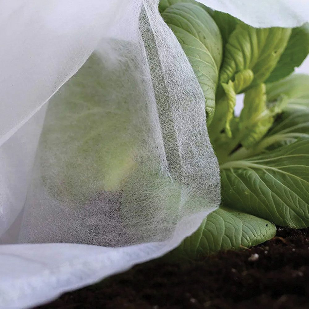 TELA DE PROTECCIÓN CULTIVOS PAÑO ARTIC 4 x 10 m 30g/m² gallery 3