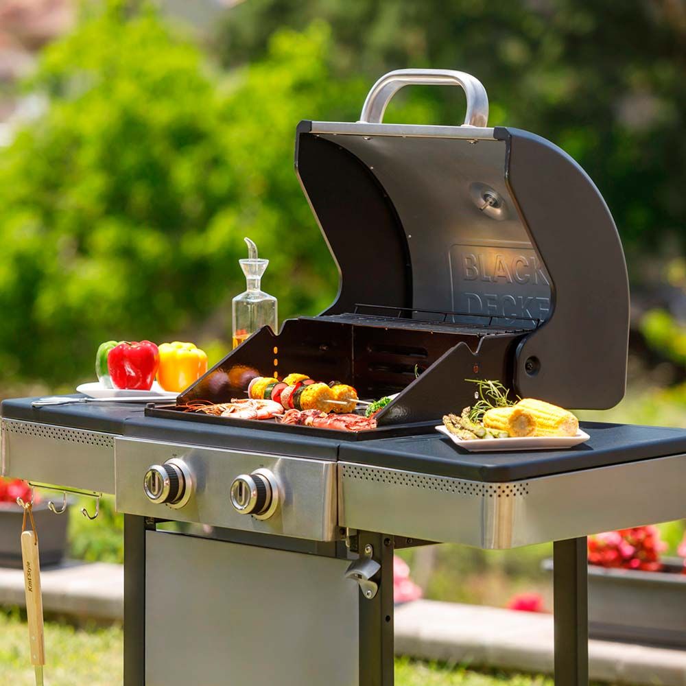 BARBACOA DE GAS BXOG7200E CON 2 QUEMADORES - 116 x 58 x 118,5 cm gallery 1