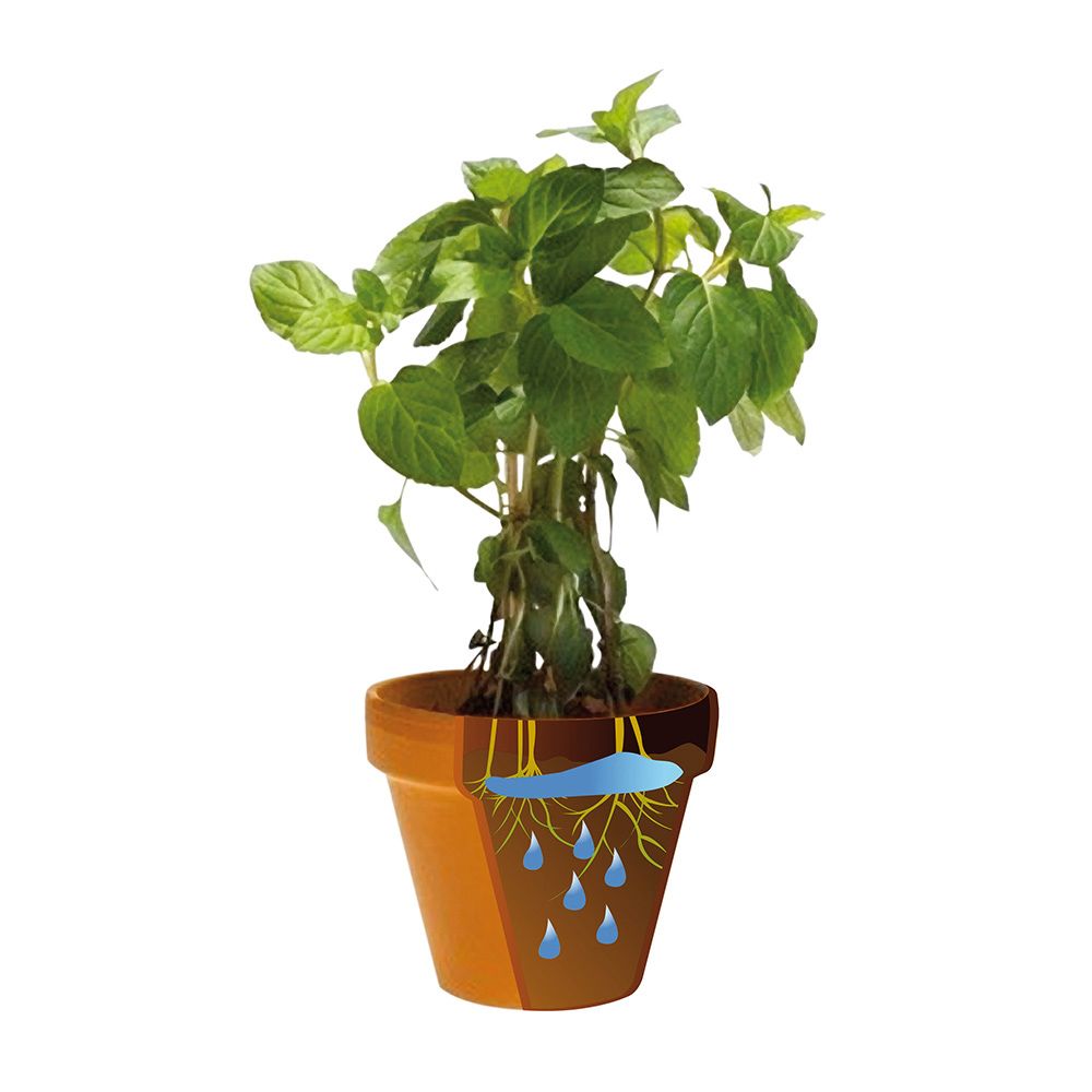 BIOGEL ECOLÓGICO 400 ml gallery 0