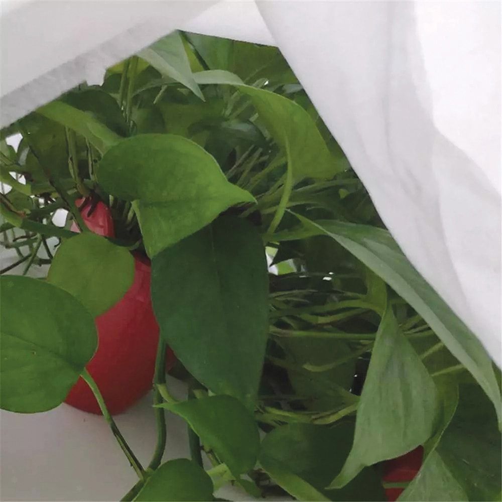 TELA DE PROTECCIÓN PARA CULTIVOS 2 x 10 m 17gr/m² gallery 1