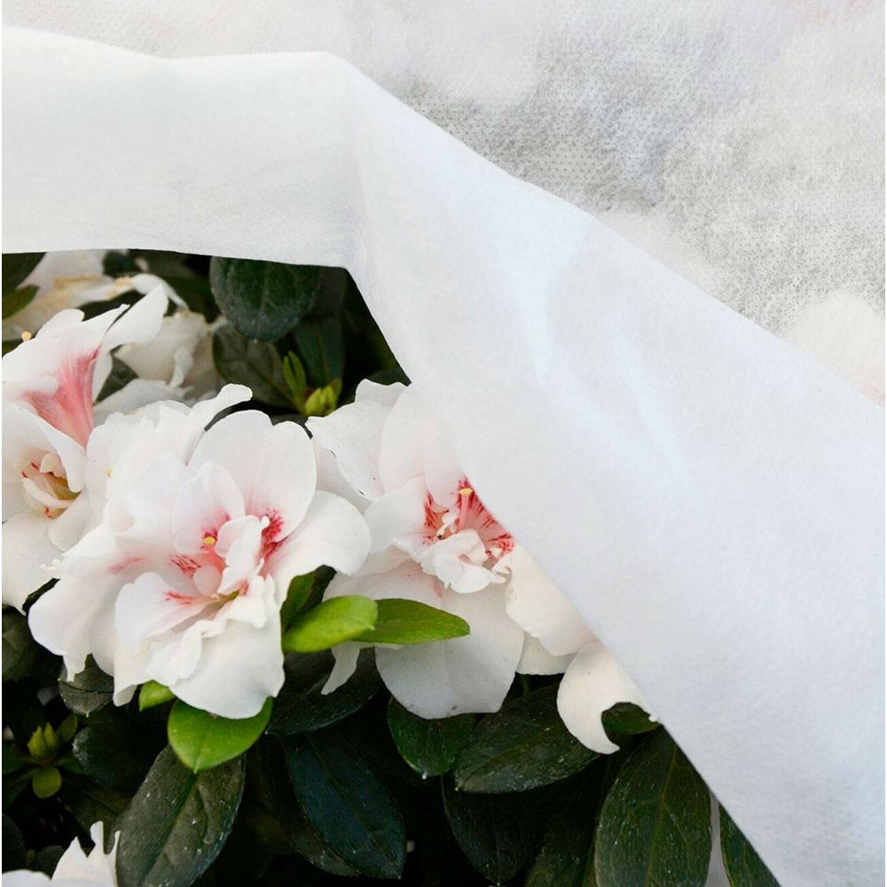 TELA DE PROTECCIÓN PARA CULTIVOS 2 x 10 m 17gr/m² gallery 4