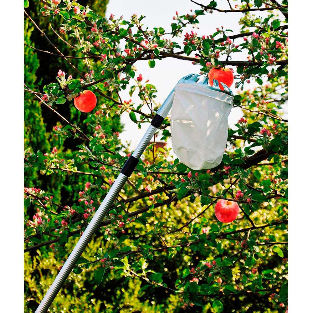 RECOGEDOR DE FRUTAS TELESCOPICO EXTENSIBLE DE 130-240cm GROUW gallery 0