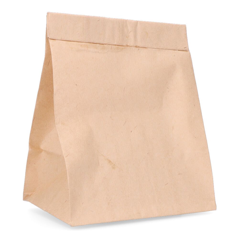 BOLSA DE RECAMBIO PARA ASPIRADOR TAURUS gallery 0