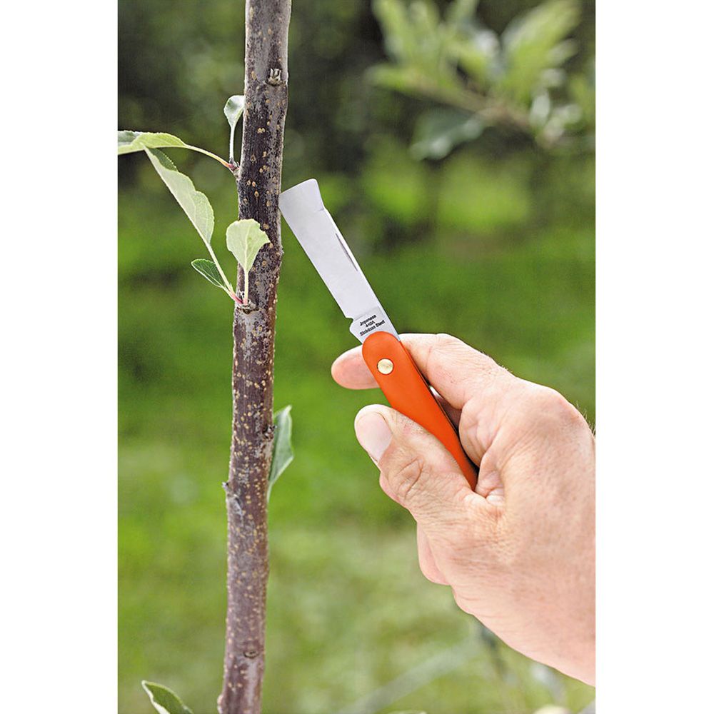 NAVAJA DE INJERTAR 55 mm, MANGO DE PLÁSTICO, CON LEVANTA CORTEZA gallery 0