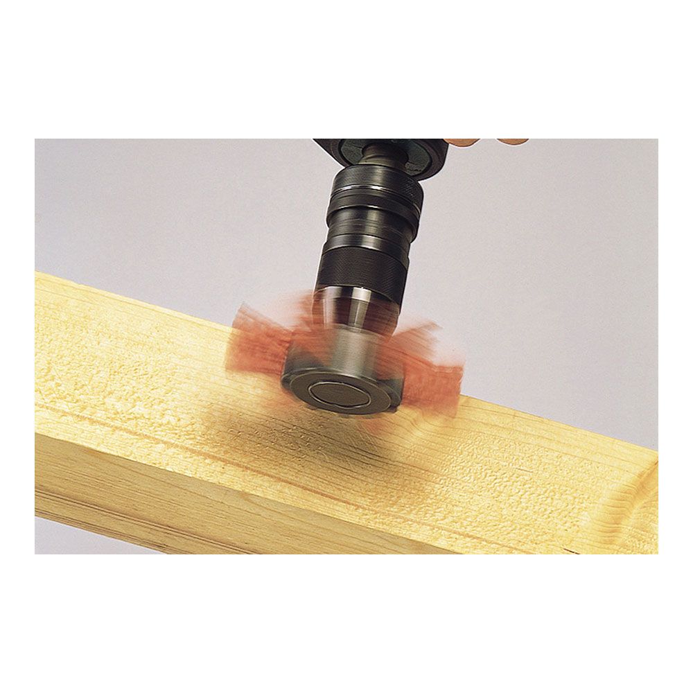 CEPILLO DE ABANICO DE ALAMBRE DE NYLON VÁSTAGO HEXAGONAL Ø100 x 20 mm gallery 0