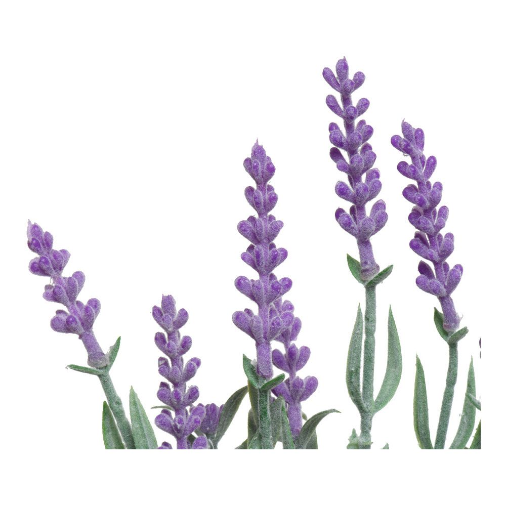 JARRÓN VINTAGE CON LAVANDA, COLORES SURTIDOS, Ø13 x 32 cm gallery 0