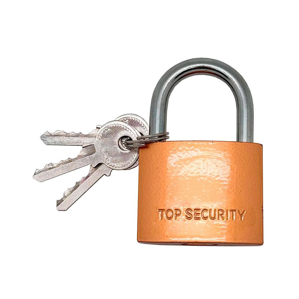 CANDADO DE ARCO NORMAL BASIC CN17, LATÓN, 30 mm