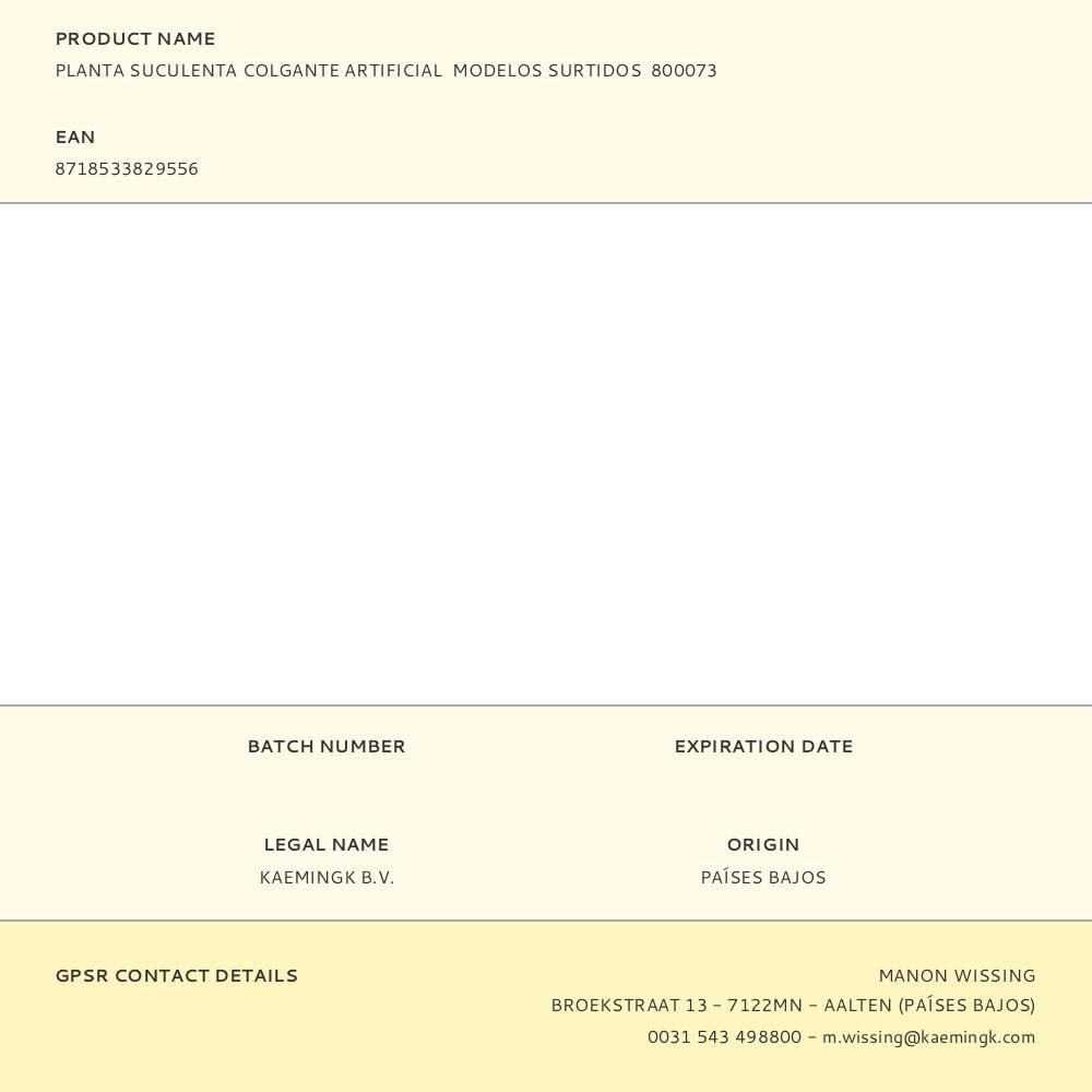 MACETA COLGANTE DE SUCULENTA, 20 cm, MODELOS VARIADOS gallery 0