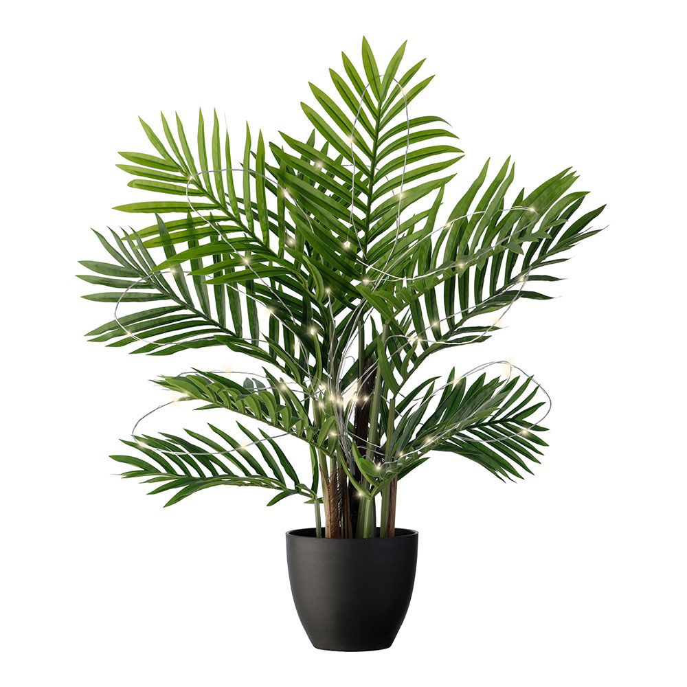 LUZ SOLAR PARA PLANTAS MEDIDAS 80cm 898234 gallery 0