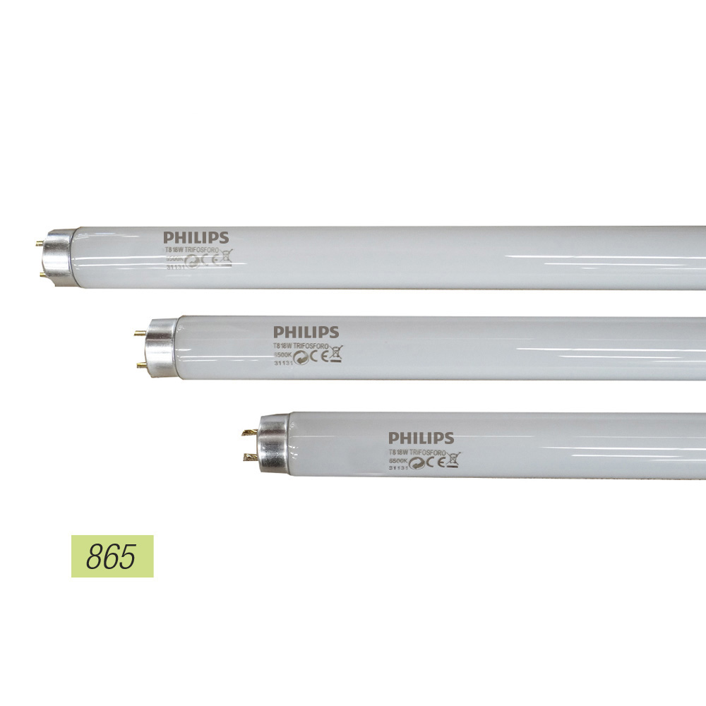 tUBO FLUORESCENTE 58W TRIFOSFORO 865K MODELO: T8 LUZ FRIA. PHILIPS