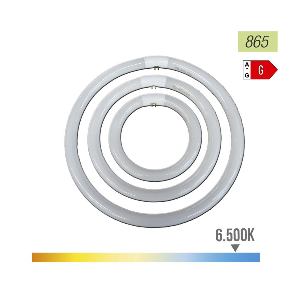 TUBO FLUORESCENTE CIRCULAR 22W Ø21cm TRIFOSFORO 6500K LUZ FRIA PHILIPS